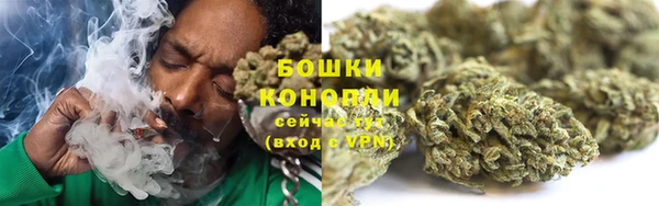 ГАЛЛЮЦИНОГЕННЫЕ ГРИБЫ Инсар