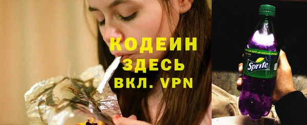 ГАЛЛЮЦИНОГЕННЫЕ ГРИБЫ Инсар