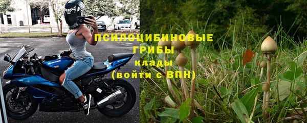 ГАЛЛЮЦИНОГЕННЫЕ ГРИБЫ Инсар