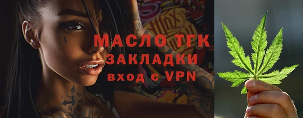 ГАЛЛЮЦИНОГЕННЫЕ ГРИБЫ Инсар