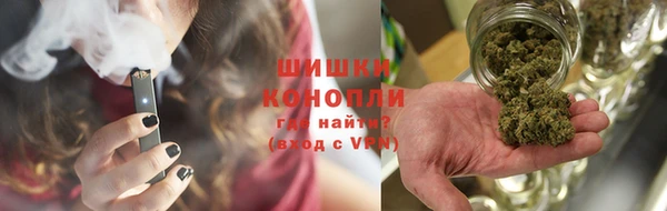 спайс Инта
