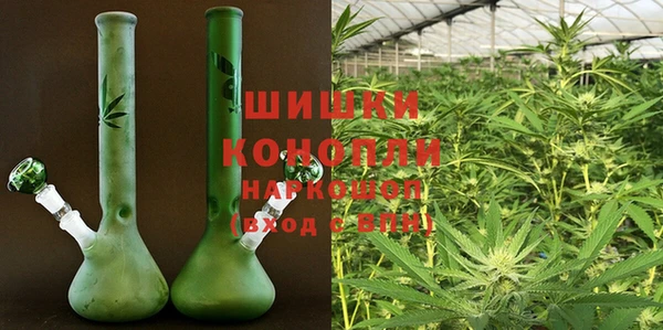 спайс Инта