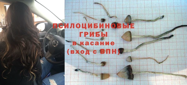 спайс Инта