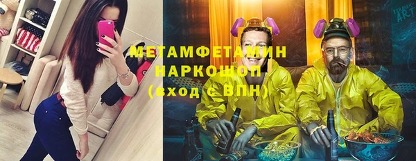 ГАЛЛЮЦИНОГЕННЫЕ ГРИБЫ Инсар