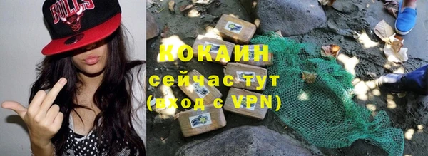 ГАЛЛЮЦИНОГЕННЫЕ ГРИБЫ Инсар