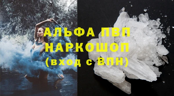 ГАЛЛЮЦИНОГЕННЫЕ ГРИБЫ Инсар
