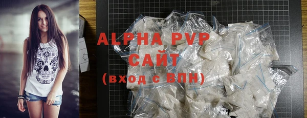 ГАЛЛЮЦИНОГЕННЫЕ ГРИБЫ Инсар