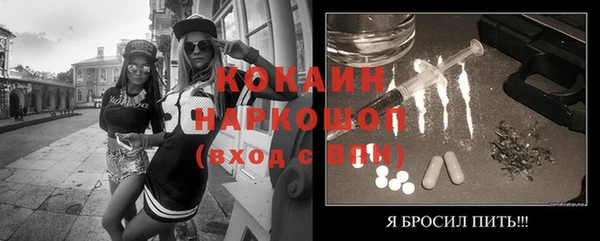 ГАЛЛЮЦИНОГЕННЫЕ ГРИБЫ Инсар