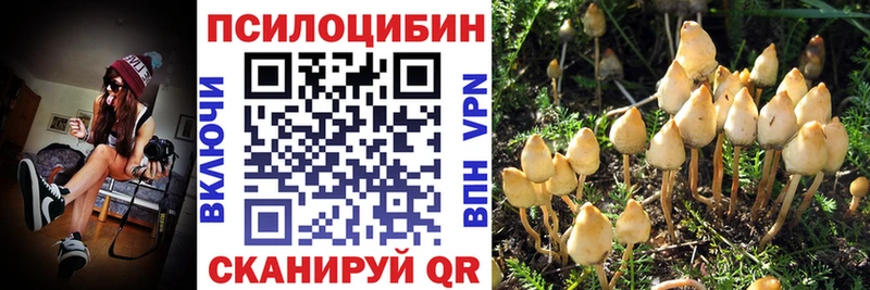 Купить где Южноуральск Псилоцибиновые грибы мицелий